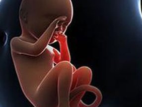 2026年未婚去解放军第960医院做试管的全部费用要多少？